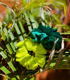 Scrunchie Sets | Aloe Green & Citrine - BySi Collection