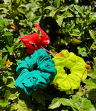 Scrunchie Sets | Aloe Green & Citrine - BySi Collection